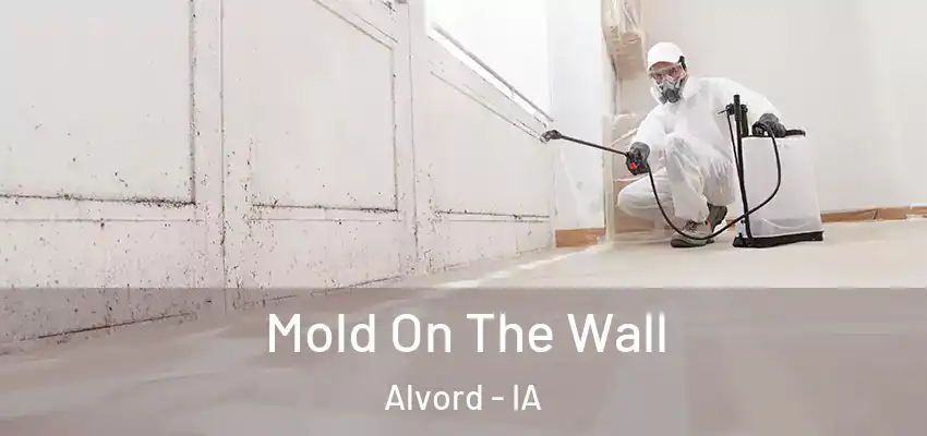 Mold On The Wall Alvord - IA