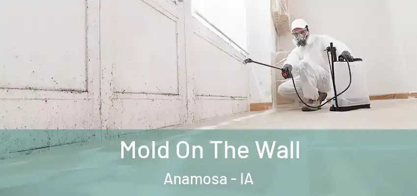 Mold On The Wall Anamosa - IA