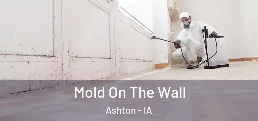 Mold On The Wall Ashton - IA