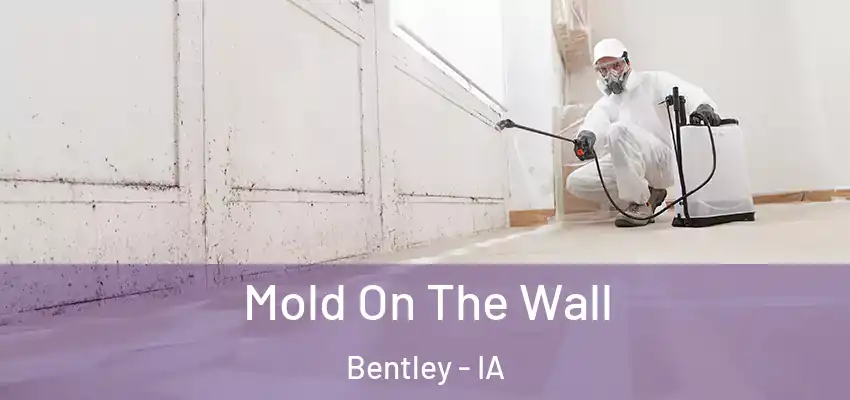 Mold On The Wall Bentley - IA