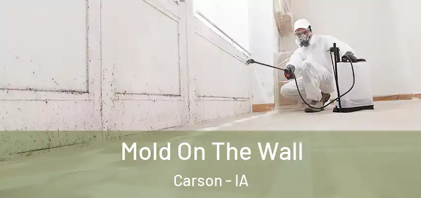 Mold On The Wall Carson - IA