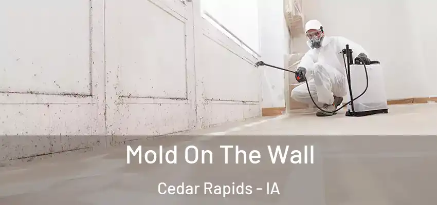 Mold On The Wall Cedar Rapids - IA