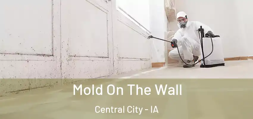  Mold On The Wall Central City - IA