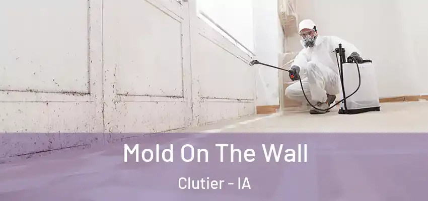 Mold On The Wall Clutier - IA
