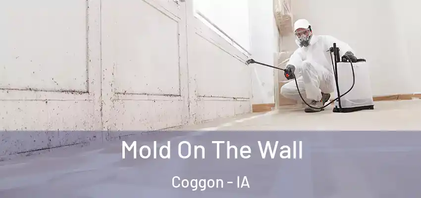 Mold On The Wall Coggon - IA
