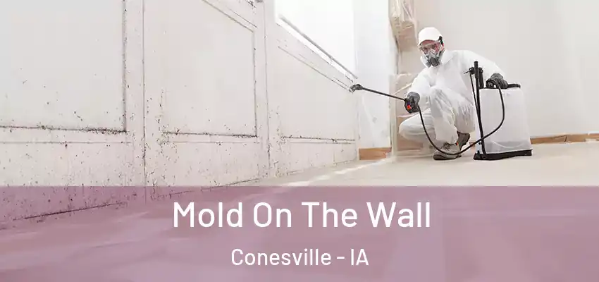  Mold On The Wall Conesville - IA