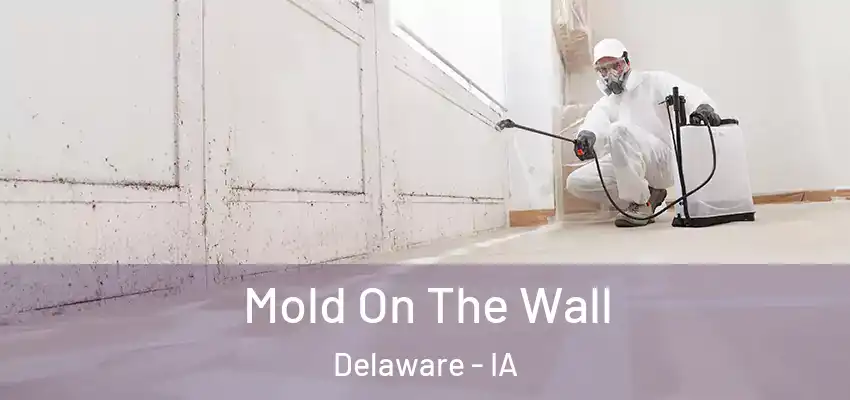 Mold On The Wall Delaware - IA