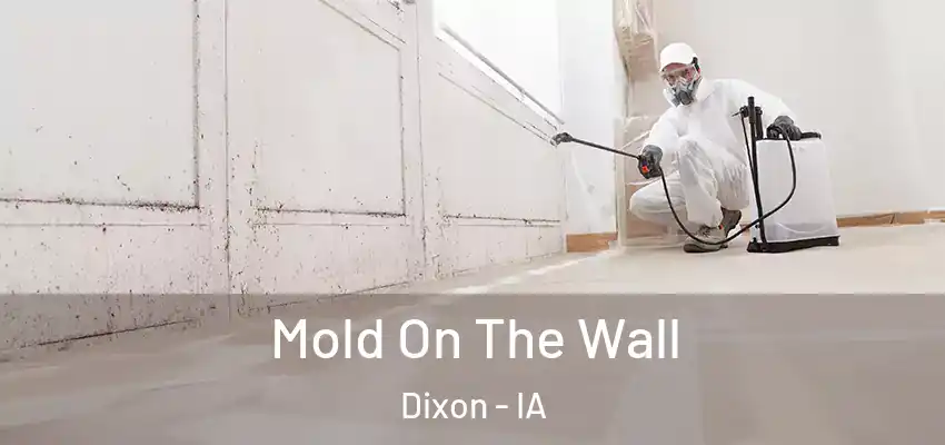Mold On The Wall Dixon - IA
