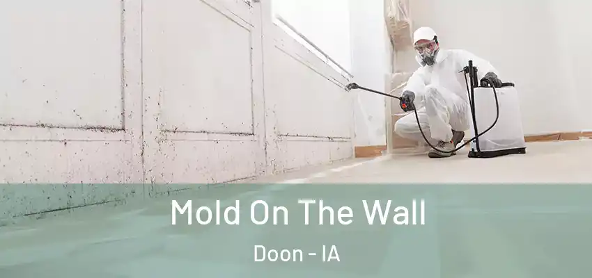 Mold On The Wall Doon - IA