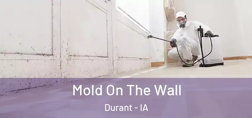 Mold On The Wall Durant - IA