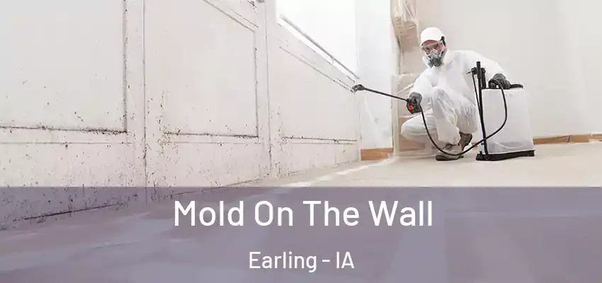  Mold On The Wall Earling - IA