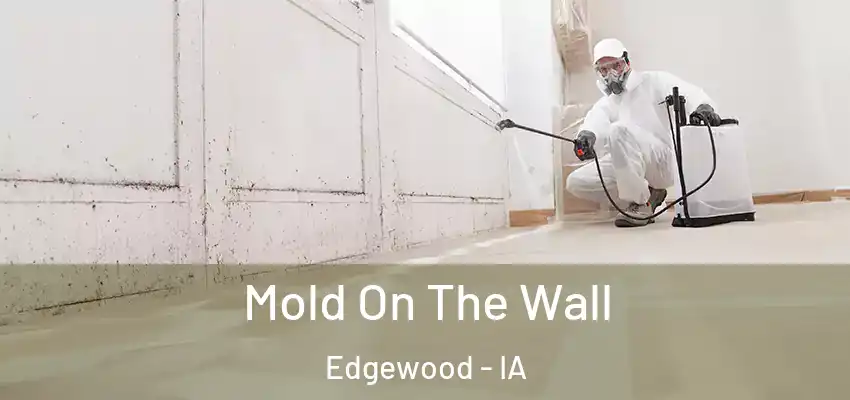 Mold On The Wall Edgewood - IA