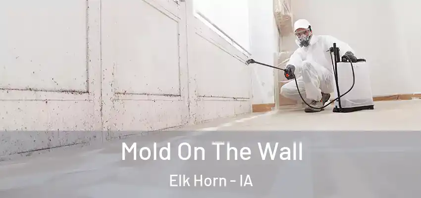  Mold On The Wall Elk Horn - IA