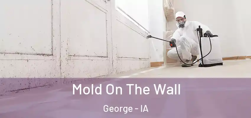 Mold On The Wall George - IA