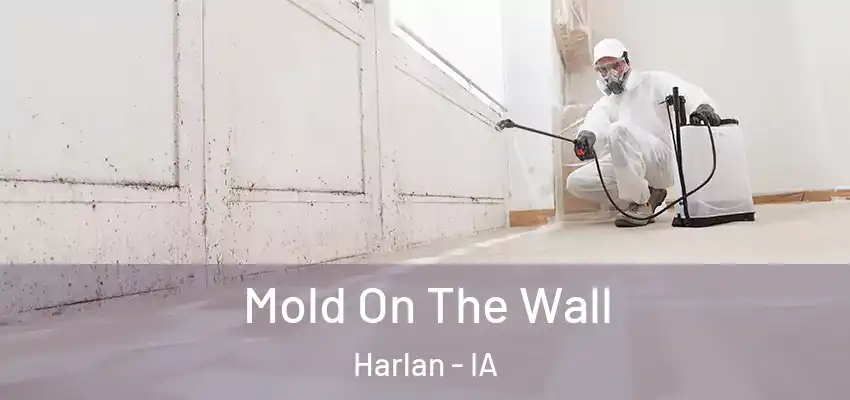  Mold On The Wall Harlan - IA