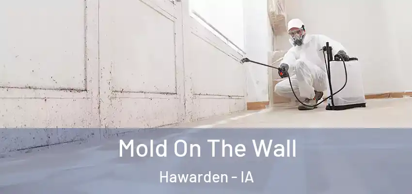  Mold On The Wall Hawarden - IA