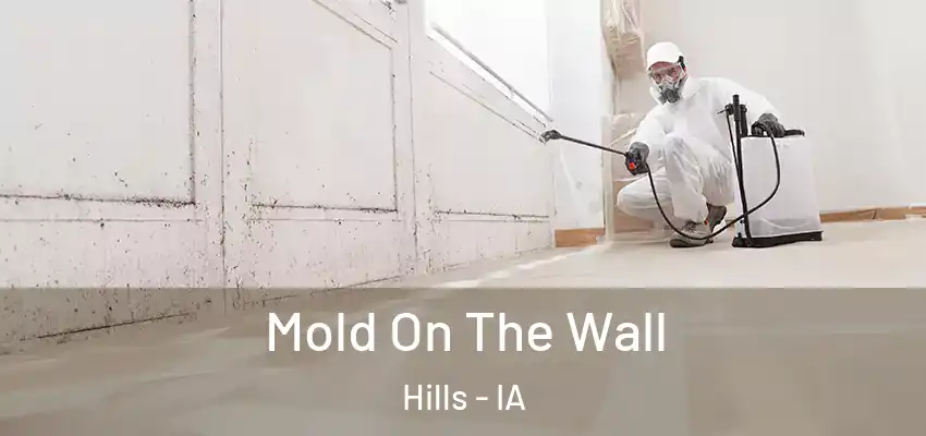  Mold On The Wall Hills - IA