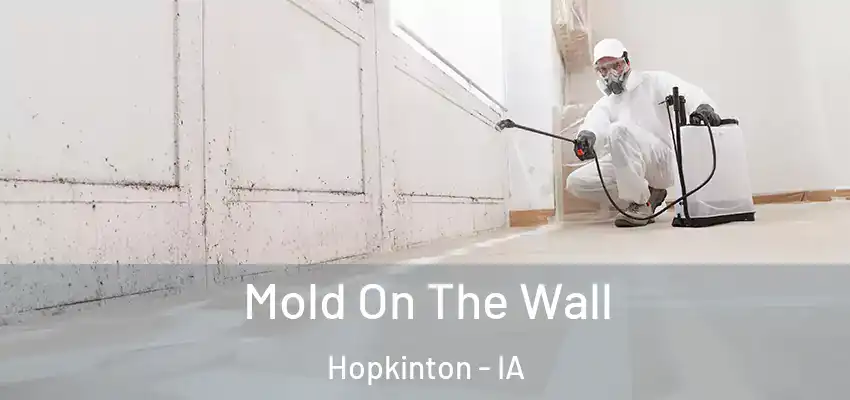 Mold On The Wall Hopkinton - IA
