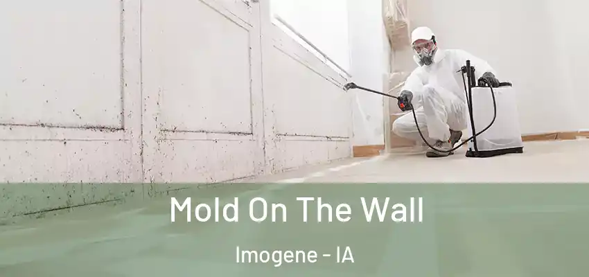  Mold On The Wall Imogene - IA