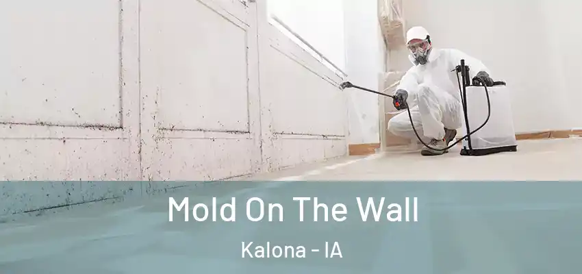  Mold On The Wall Kalona - IA