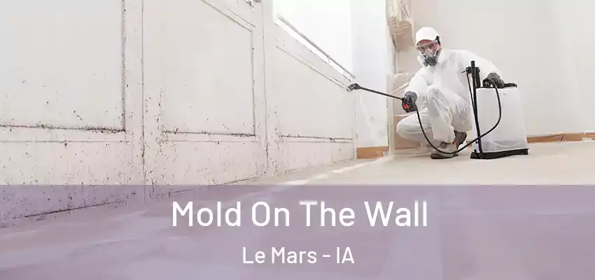 Mold On The Wall Le Mars - IA
