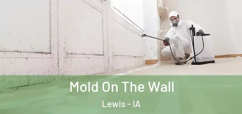  Mold On The Wall Lewis - IA
