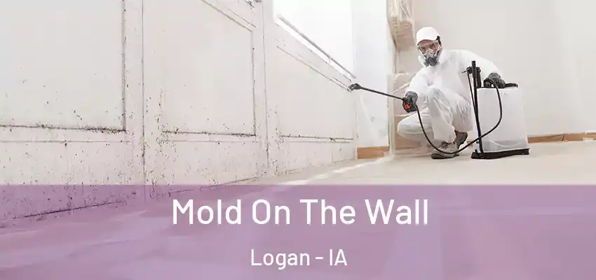  Mold On The Wall Logan - IA