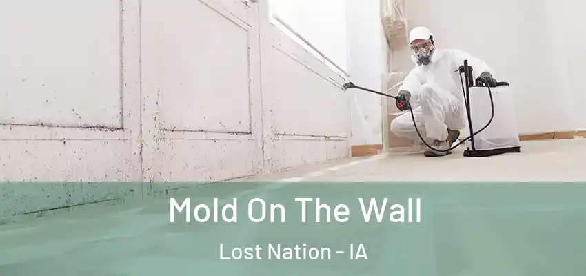 Mold On The Wall Lost Nation - IA