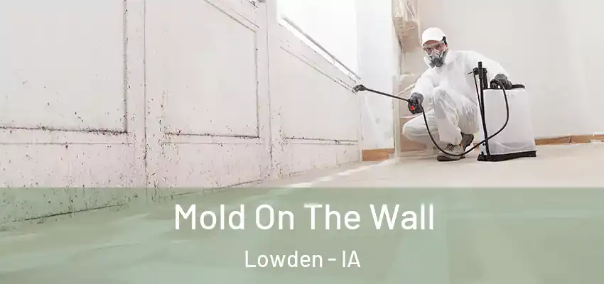  Mold On The Wall Lowden - IA