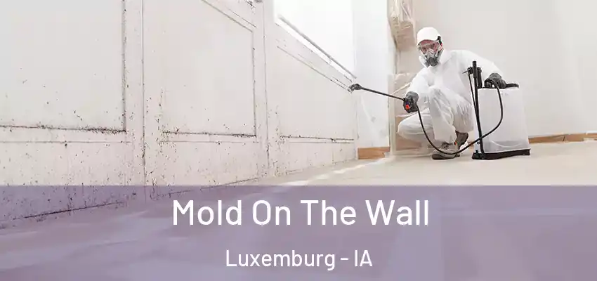 Mold On The Wall Luxemburg - IA