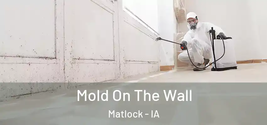  Mold On The Wall Matlock - IA