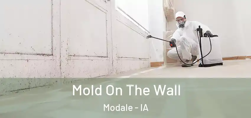  Mold On The Wall Modale - IA