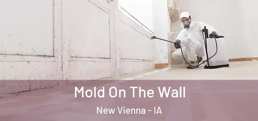Mold On The Wall New Vienna - IA