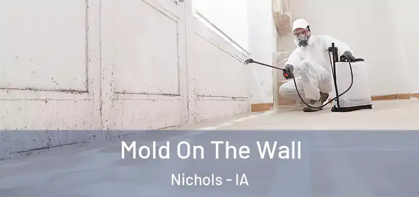 Mold On The Wall Nichols - IA