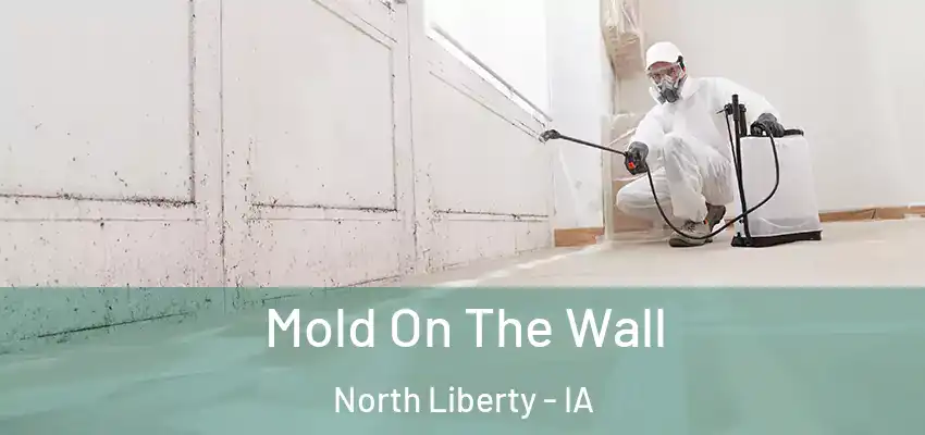 Mold On The Wall North Liberty - IA