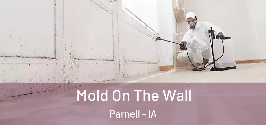 Mold On The Wall Parnell - IA