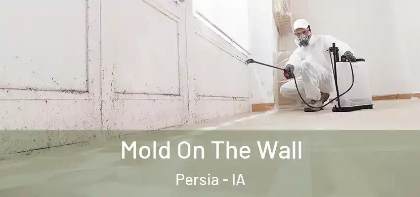  Mold On The Wall Persia - IA