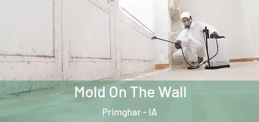  Mold On The Wall Primghar - IA