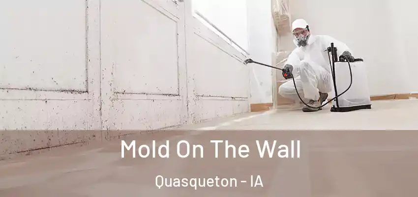  Mold On The Wall Quasqueton - IA