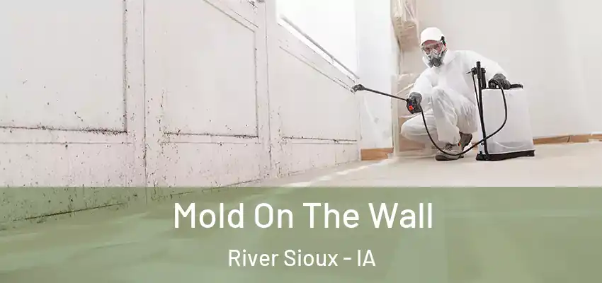  Mold On The Wall River Sioux - IA