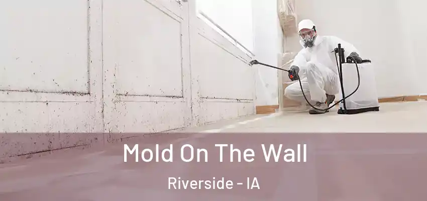  Mold On The Wall Riverside - IA