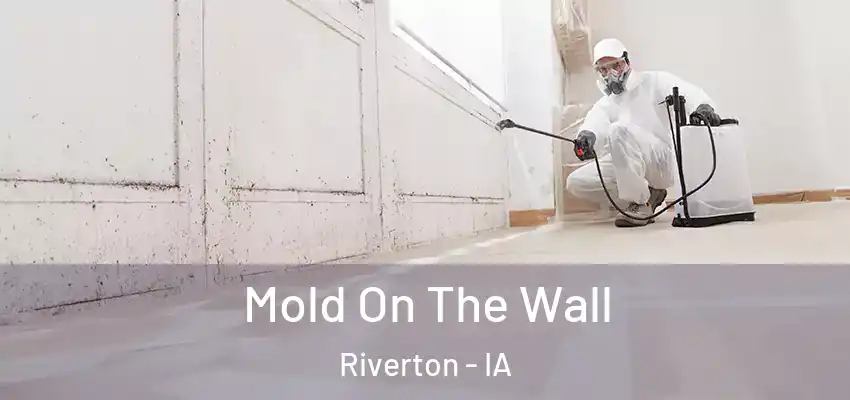 Mold On The Wall Riverton - IA