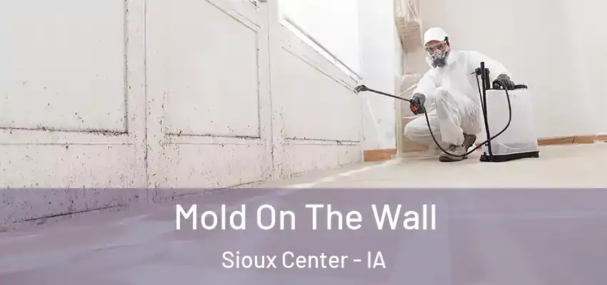 Mold On The Wall Sioux Center - IA