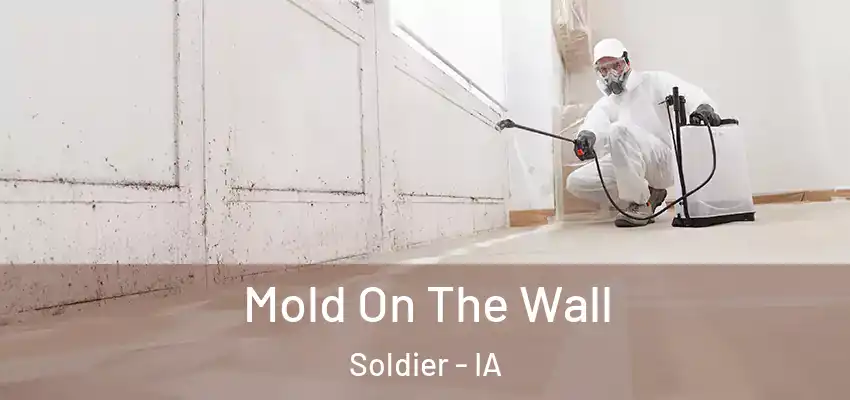  Mold On The Wall Soldier - IA