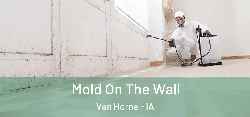 Mold On The Wall Van Horne - IA