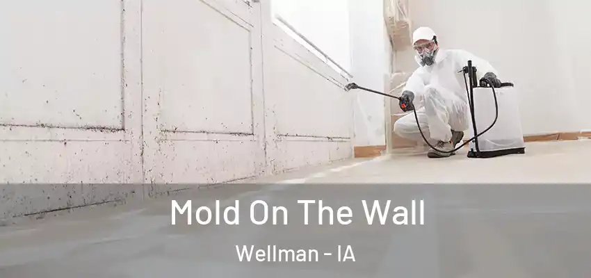 Mold On The Wall Wellman - IA