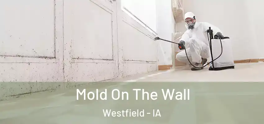  Mold On The Wall Westfield - IA