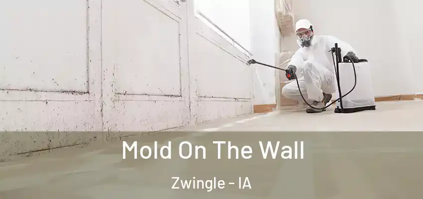 Mold On The Wall Zwingle - IA