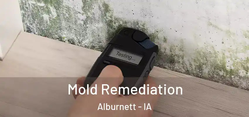 Mold Remediation Alburnett - IA