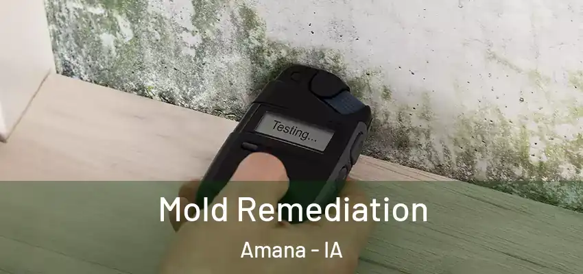  Mold Remediation Amana - IA